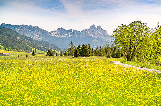 Frühling im Thannheimer Tag ©Foto:  Achim Meurer